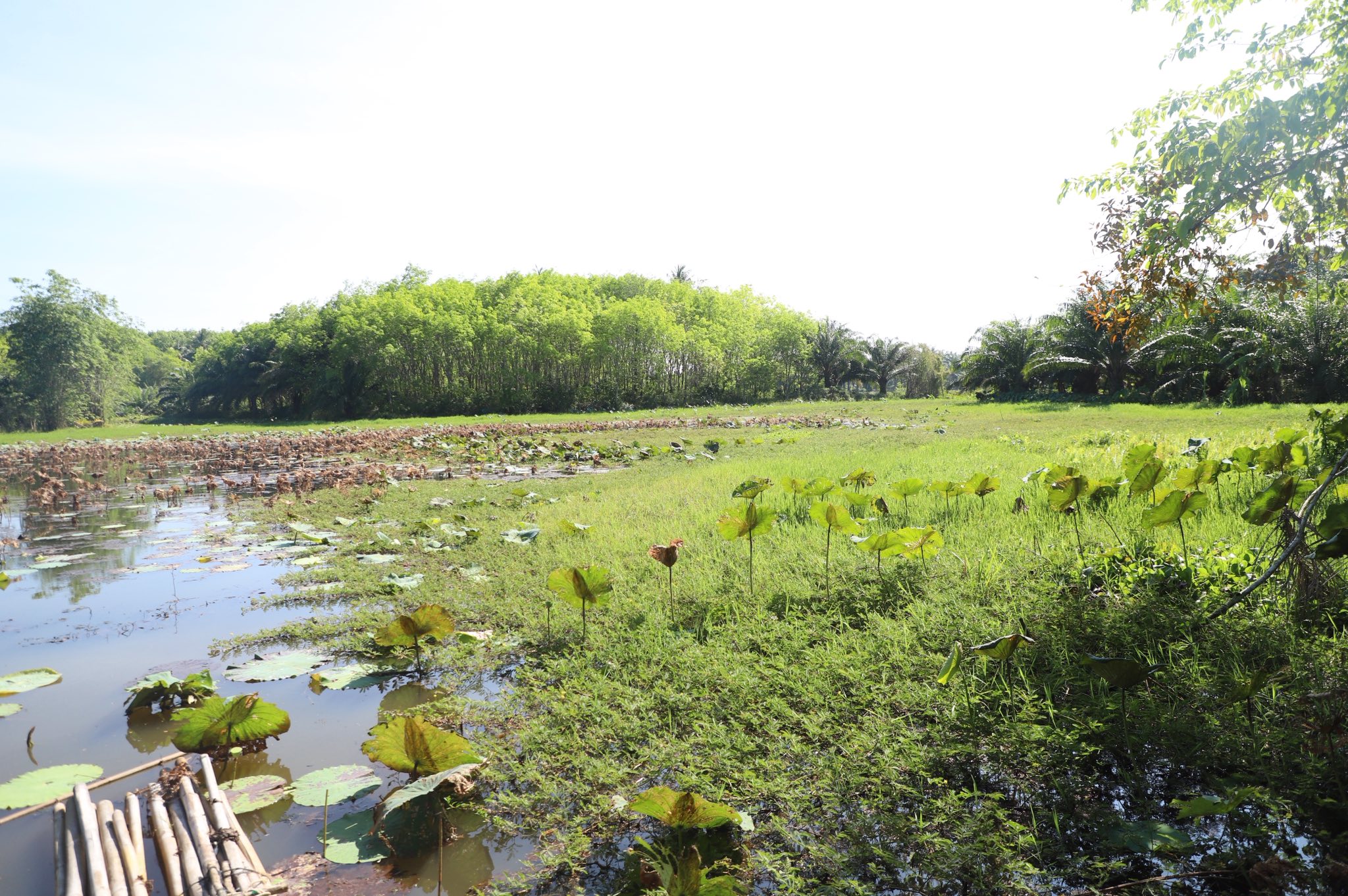 title - ข่าวดีชาวกระบี่ รมช.เกษตรฯ ลงพื้นที่ติดตามโปรเจกต์ยักษ์ ส.ป.ก. เร่งพัฒนาโครงสร้างพื้นฐานแปลงพื้นที่เป้าหมาย คทช. ในเขตปฏิรูปที่ดิน กว่า 4,300 ไร่ มุ่งสร้างอาชีพอย่างยั่งยืน
